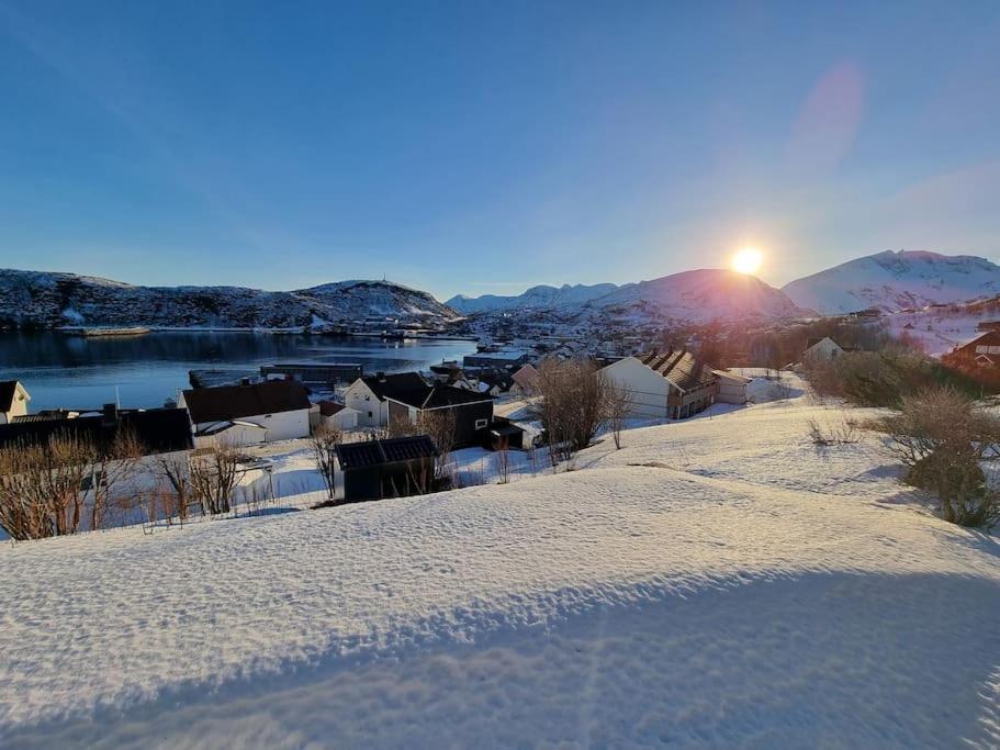 Nice House With A Great View! Skjervoy Extérieur photo